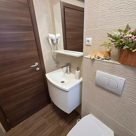 Apartments & Rooms Nensi Baska (Krk)